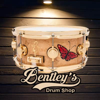 *LIMITED EDITION* DW Collector's Series Sheila E. ICON Signature 5.5x13 Pure Maple Snare Drum w/ Gold Hardware & Deluxe Case image 3