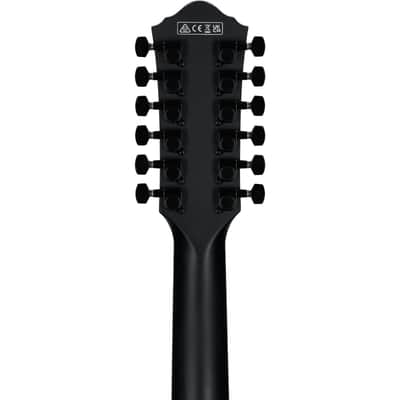 Ibanez AEG1221-BOT - Black Out Acoustic Electric 12 String Guitar image 8