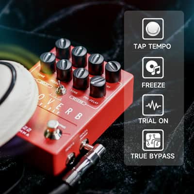 FLAMMA FS22 Stereo Delay & Reverb Combo Effects Pedal Ambient Guitar Pedal with 3 Pairs Combo Effects Reverse Delay Shimmer Reverb Tap Tempo Freeze Trail On Function image 4