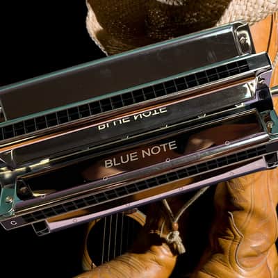 BRAND NEW PROFESSINOAL BLUE NOTE SEXTET HARMONICA PADDEL WHEEL HARMONICA image 3
