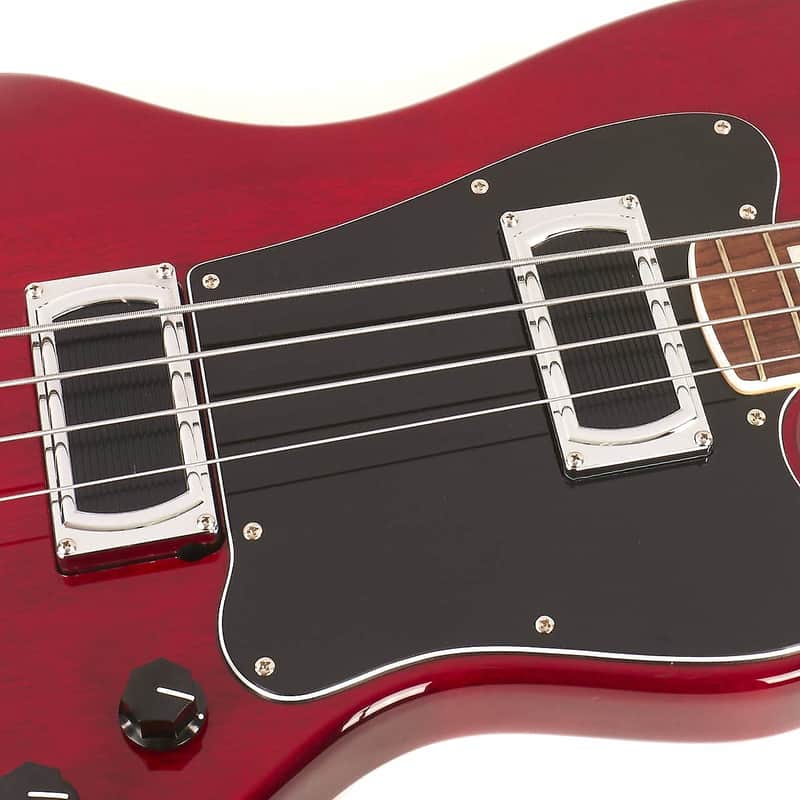 Lakland Skyline Decade image 9