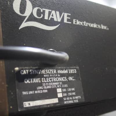 The Cat by Octave Vintage 37 Key Analog Duophonic Synthesizer image 6