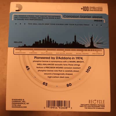D'addario EPBB170 Phosphor Bronze Acoustic Bass image 2