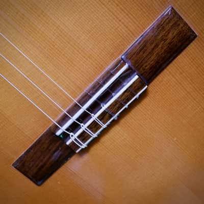 M. G. Contreras Flamenco Student Model 1980's-1990's - Natural with Hard Case & Wittner Mechanical Tuners image 11