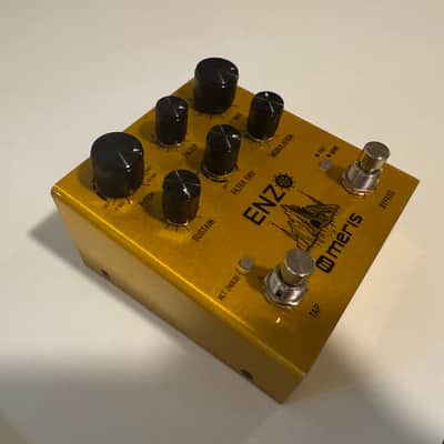 Meris Enzo 2018 - Gold image 1