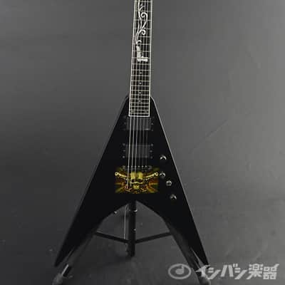 ESP Michael Paget V image 3