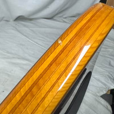 Parker USA FB-5 fb5 Fly 5-string Bass image 22