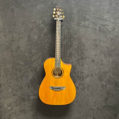 Cort LUXE NATUREL BRILLIANT FRANCK GAMBALE - FRANCK GAMBALE image 1