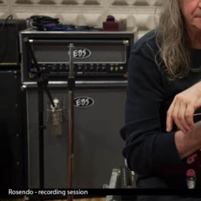 EBS Classic 450 Bass Amp Head image 9