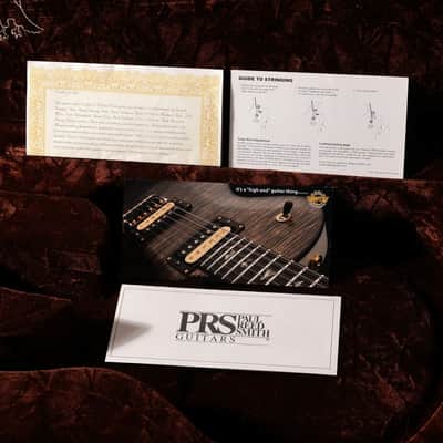 Immagine Paul Reed Smith (PRS) 2008 Private Stock #2042 Custom 22 Glacier Blue [142387] (02/23) - 7