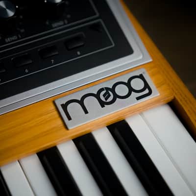 Moog One 16-Voice 61-Key Polyphonic Analog Synthesizer image 11