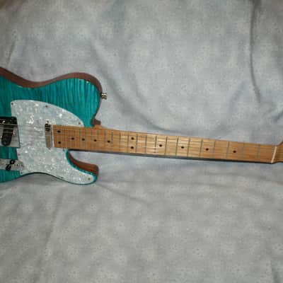 VZ Custom Guitars 24-Fret T-Style w/HSC image 2