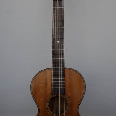 Original 19th Century TERZ guitar - Very rare! image 6