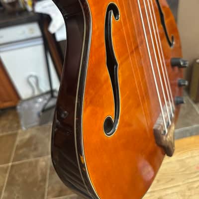 Epiphone Zenith Bass image 7