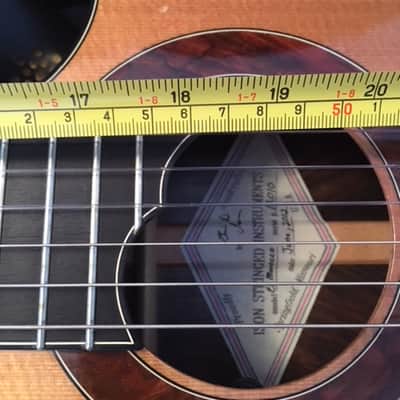 Ison El Morocco Nylon String  Guitar 2012 image 12