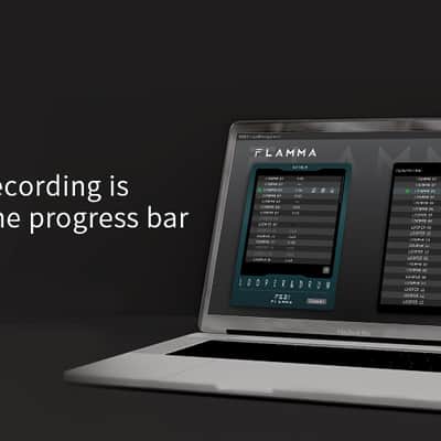 Flamma FS21 Drum Machine Looper Pedal 160 Minutes Looper 100 Drum Grooves Support Software Editing,price include the import duty to US buyer image 10
