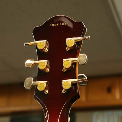 Aria Pro II FA-70 Jazz Hollowbody Archtop in 3 Color Sunburst image 6