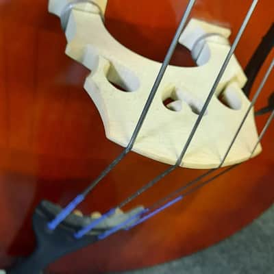 Upright Bass Samuel Eastman VB80 2019 image 2