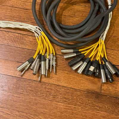 12 Pair Snake Multi Cable 20FT long with XLR and TRS Connectors image 1