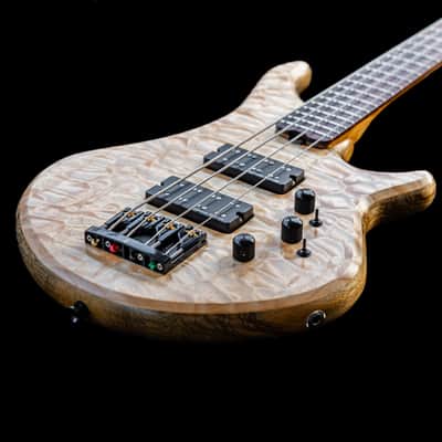 Bacchus WOODLINE-HOLLOW4 FUYUZAKURA WSE'23/E -SK/SW-GRD- 2023