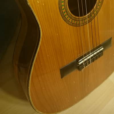 Lumanog Berdejo Classical Acoustic Guitar Exotic Rosewood 1960's image 12