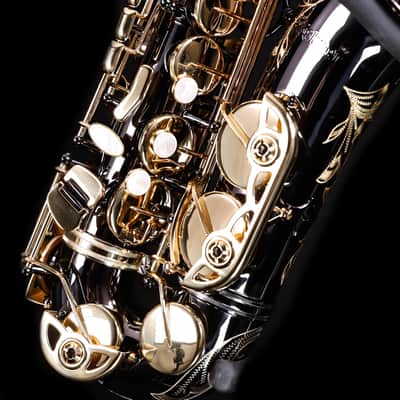 Selmer SAS511B Intermediate Alto Saxophone, Black Nickel image 8