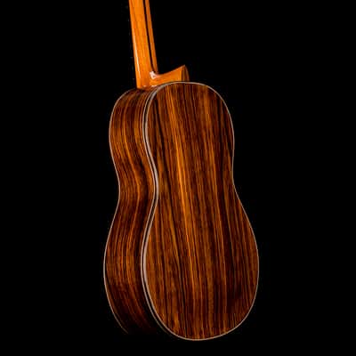 Stanislaw Partyka double-top classical guitar 640mm (2025) image 4