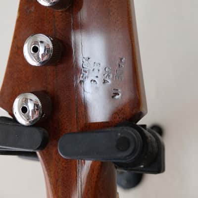 Gibson Firebird 2016 + custom hardcase image 6