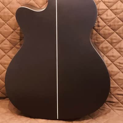Washburn DFEACE Deep Forest Grand Auditorium Shape Ebony Ace Wood 6-String Acoustic-Electric Guitar image 13