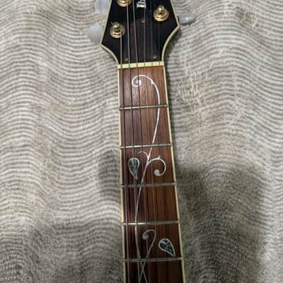 Ibanez SZR720-TGB Standard 2008 - 2009 - Transparent Gray Burst image 5