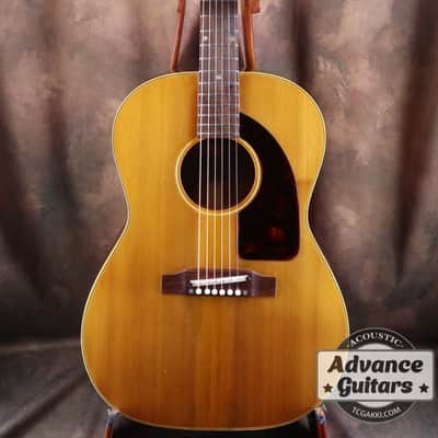 Epiphone 1966 FT-45 Cortez image 4