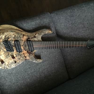 Kiesel Carvin Aries AM7 Multiscale New! 2016 Buckeye Burl image 18