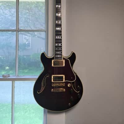 Ibanez AM200 image 2