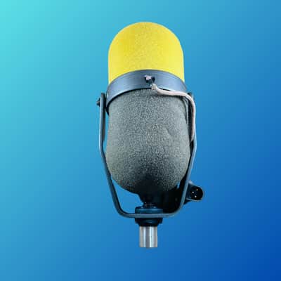 Shure SM5B image 2