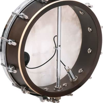 Gold Tone BU-1 Concert Banjolele image 3