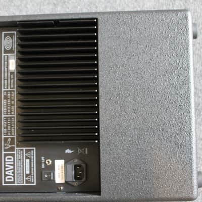 Immagine Schertler David 100 watt Acoustic Amplifier - 11