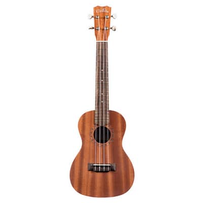 Cordoba Ukulele Player Pack; Includes Concert Ukulele, Bag, Digital Tuner & Book image 1