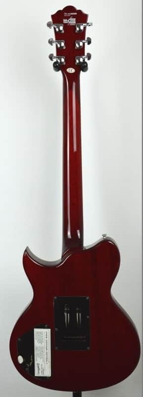 Washburn WI-66 V Idol 2003 | Reverb