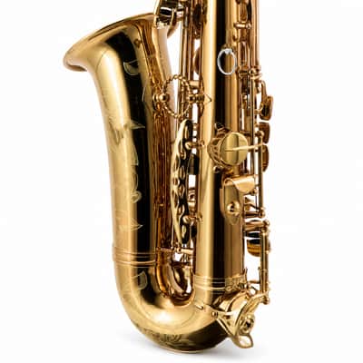 Eastman EAS850 'Rue Saint-Georges' Professional Alto Saxophone SN A2440262 image 15
