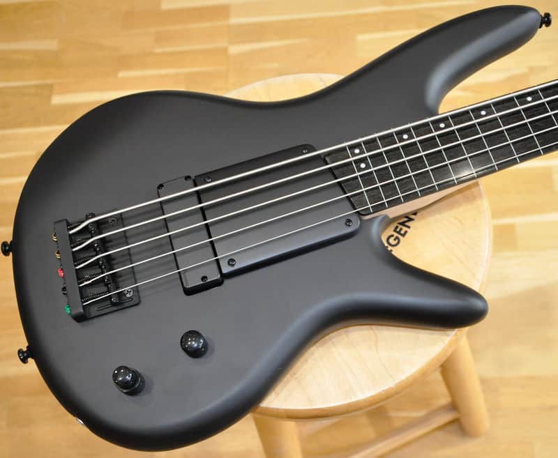 IBANEZ GWB35 BKF Black Flat / Gary Willis Signature / 5-String Fretless Bass / GWB35-BKF image 1