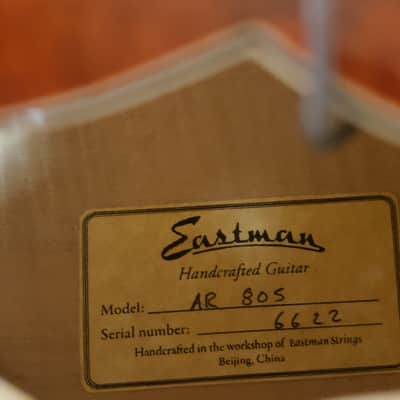 Eastman  AR805 2010 Violin Finish With K&K Definity image 9