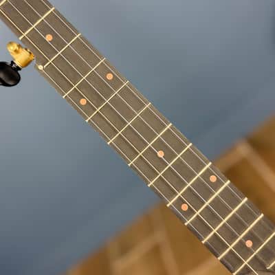 Pisgah Whyte Laydie - 12" Curly Maple 5-String Openback S-Scoop image 16