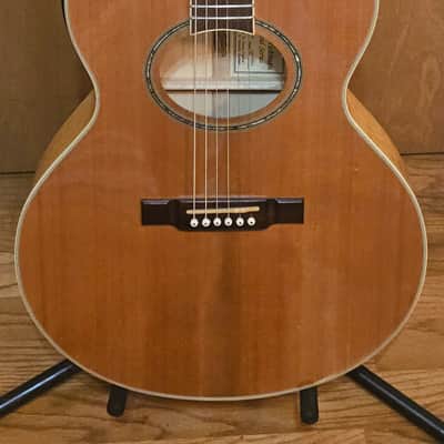 Washburn Festival Series EA20SDL with Chorus Cutaway image 1