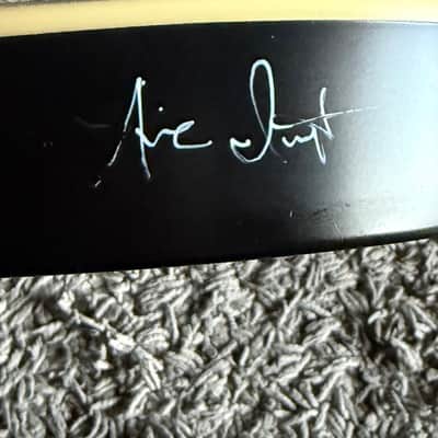 Schecter Custom Hand-Painted PT Diamond Series image 11