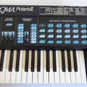 Fender Rhodes Chroma Polaris Fully Serviced