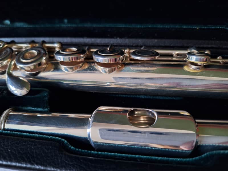 Azumi AZ-S2RE Flute - Open Holes, C Footjoint image 1