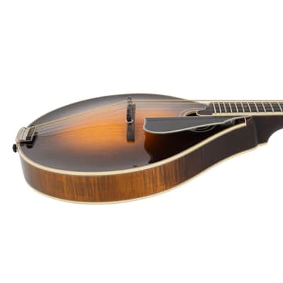 Used Northfield NFMSP-A4 Mandolin Sunburst 2023 image 3