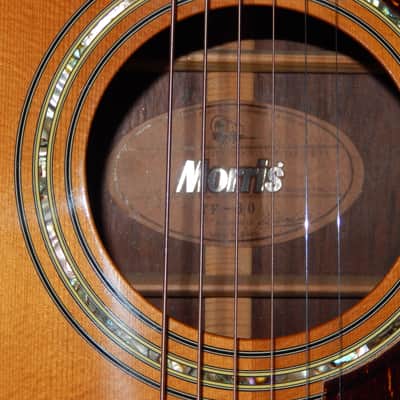 MADE IN 1978 MORRIS TF60 - ABSOLUTELY TERRIFIC MARTIN D45 STYLE ACOUSTIC GUITAR image 6