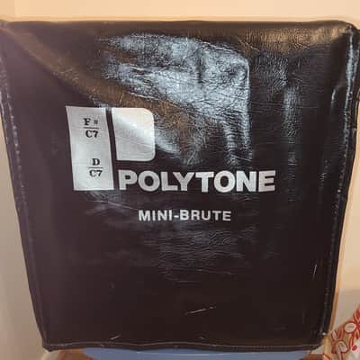 Polytone Mini-Brute II FREE shipping image 2