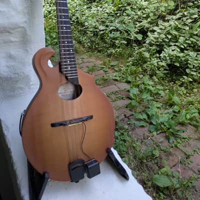 Breedlove American FO Mandolin Bild 1